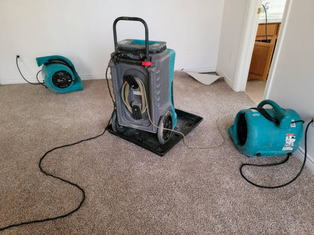  Madison, GA Water damage restoration Pros