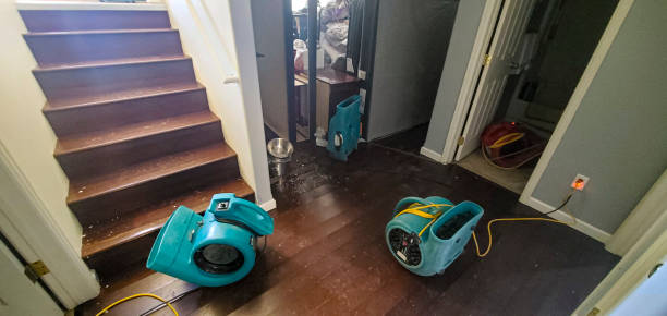 Best Water damage restoration near me  in Madison, GA