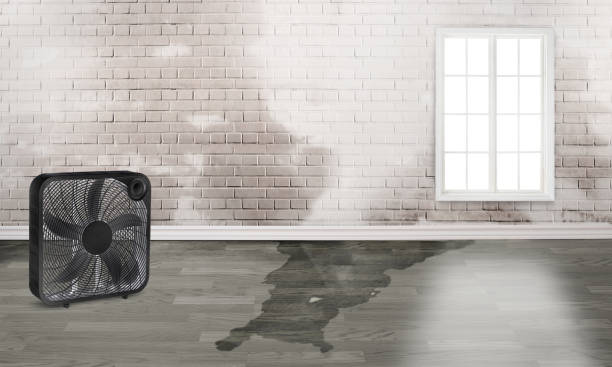 Best Flood damage cleanup  in Madison, GA