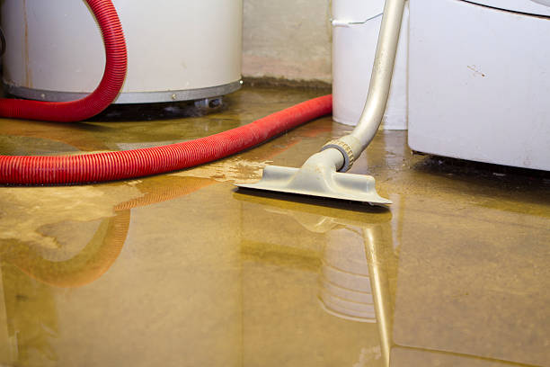 Best Water damage mitigation services  in Madison, GA