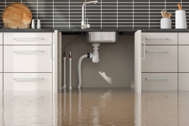 Best Commercial water damage restoration  in Madison, GA