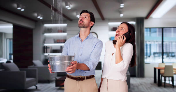 Best Professional water damage repair  in Madison, GA