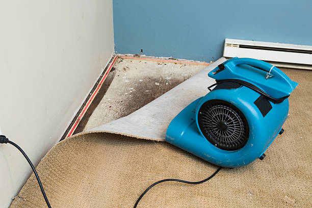 Best Water damage cleanup near me  in Madison, GA